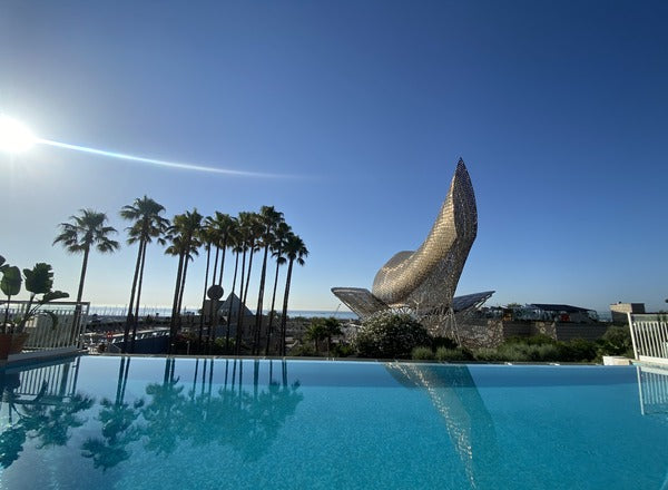 Palm tree and pool with monument